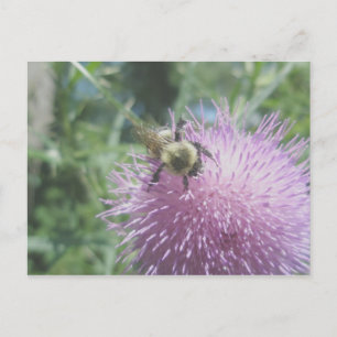 Abeja em cartão postal de Cardo