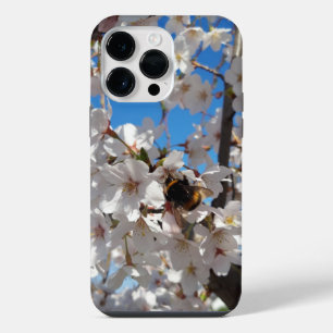 Abeja en flor de cerezo silvestre