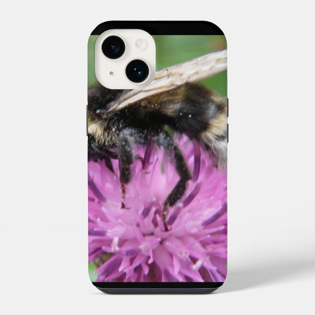 Abeja en un Cardo (Verso)