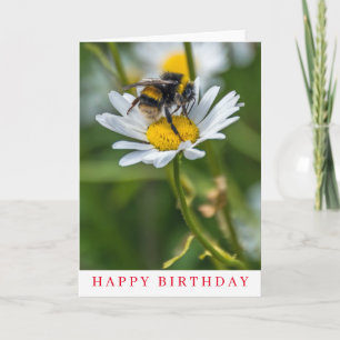 Abeja en un cartão de aniversario de margarida bra