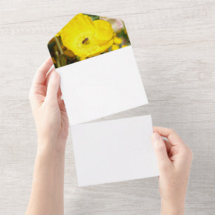 Abelha Banhada em Amarelo