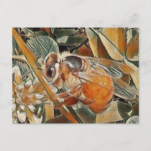 ABELHA DE HONEYBEE NA COBERTURA - CARTÃO POSTAL