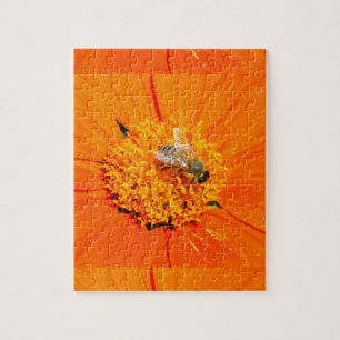 abelha de mel na quebra-cabeça de flor de laranja