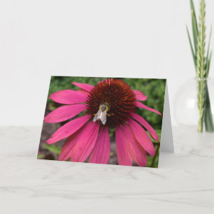 Abelha de Mel no Cartão de Saudação do Coneflower