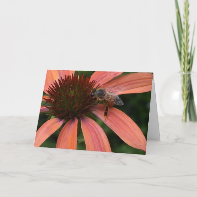 Abelha de Mel no Cartão de Saudação do Coneflower (Frente)