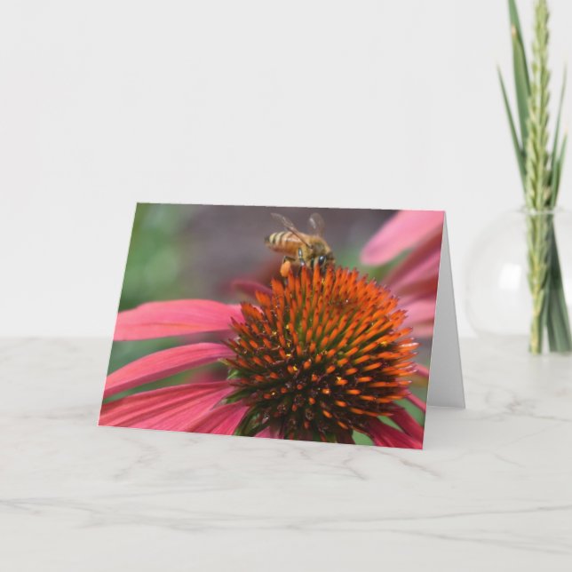Abelha do mel no cartão de Coneflower (Frente)