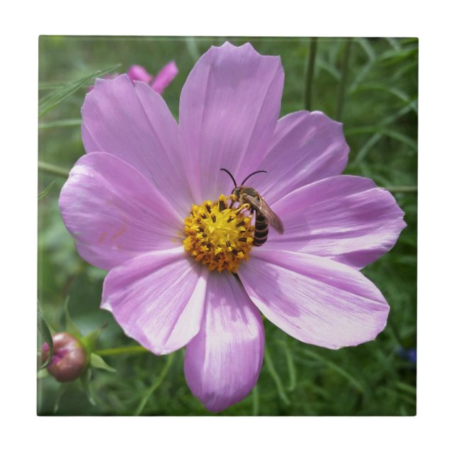 abelha em flor (Frente)