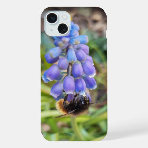 Abelha em Muscari Armeniacum, Jacinto de Uva