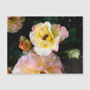 Abelha nas flores amarelas cor-de-rosa