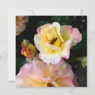 Abelha nas flores amarelas rosa