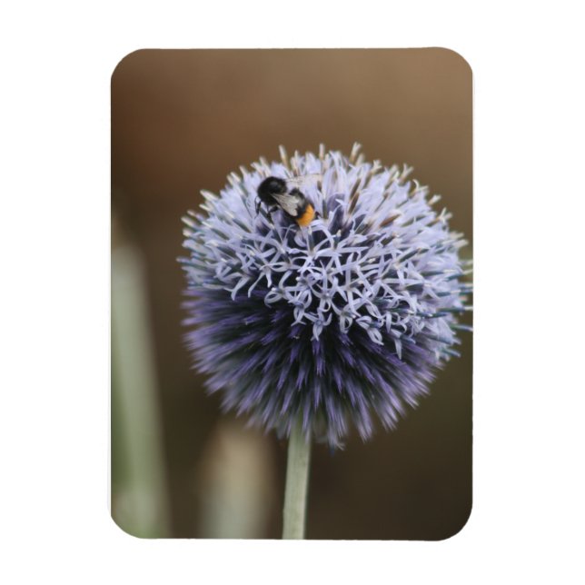 Abelha no ímã Allium (Vertical)