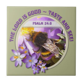 Abelhas alimentando-se de Primavera Crocus Flower