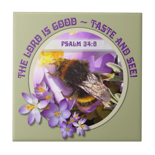 Abelhas alimentando-se de Primavera Crocus Flower (Frente)