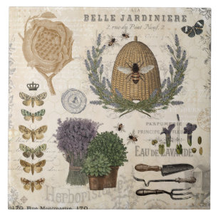 Abelhas de fazenda francesa moderna