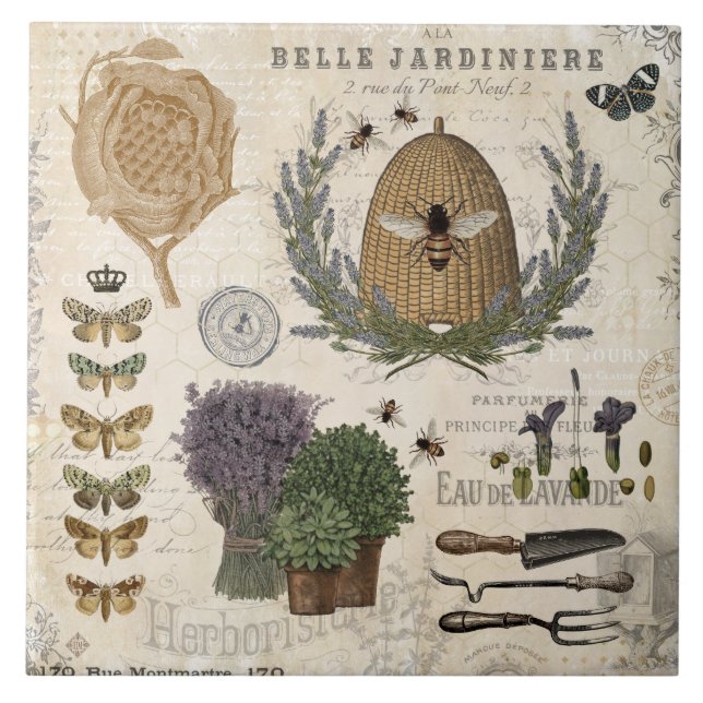 Abelhas de fazenda francesa moderna (Frente)