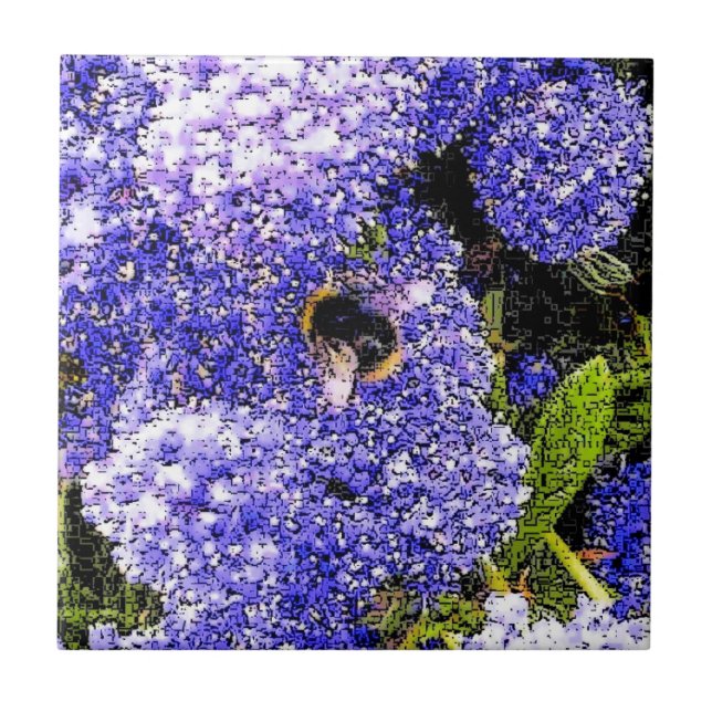 Abelhas De Flor Ceanothus (Frente)