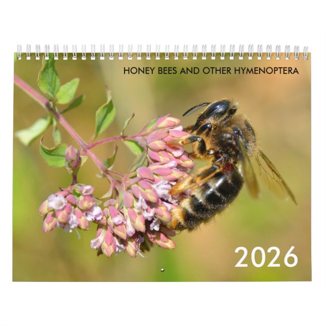 Abelhas e outros calendários de himenópteros (Capa)