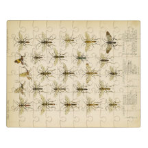 Abelhas e vespas de Cameron 1883-1890
