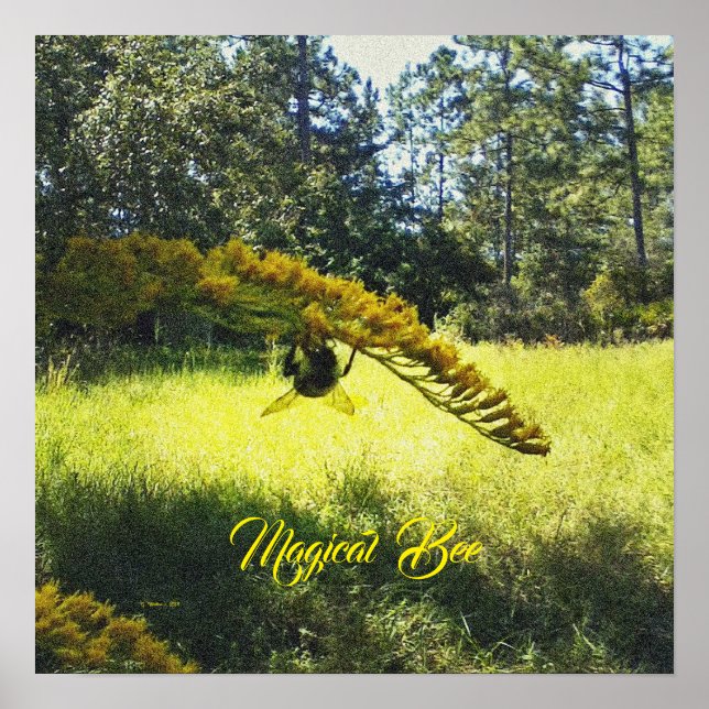 Abelhas Mágicas, Poster de Abelhas, Abelhas e Post (Frente)
