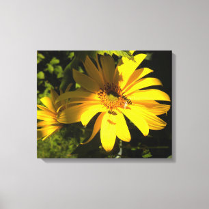 Abelhas N Canvas de Girassóis