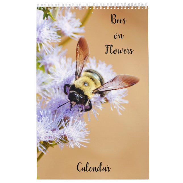 Abelhas no Calendário Flores (Capa)
