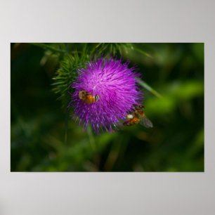 Abelhas no Poster de Abelhas de Leite