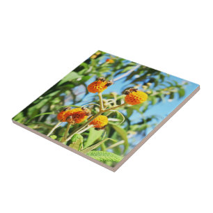 Abelhas no trabalho Azulejo cerâmico