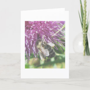 Abelhas Recolhendo Cartão De Nota De Pólen