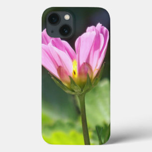 Abertura da Flor Rosa