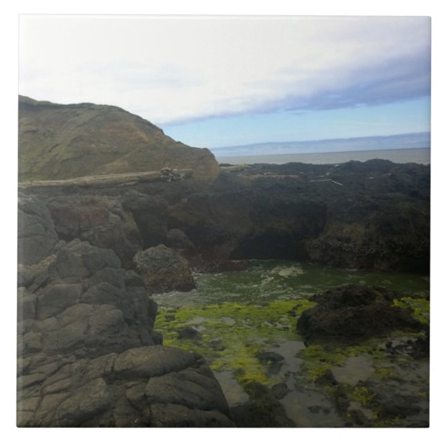 Abismo de Cook, Cape Perpetua, OR (Frente)