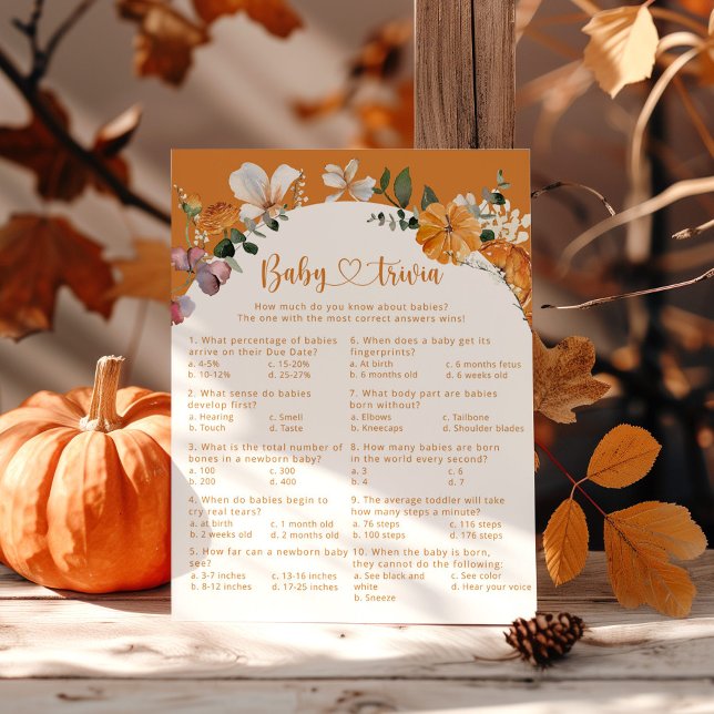 Abóbora de queda de aranha Jogo de chá de fraldas  (Criador carregado)