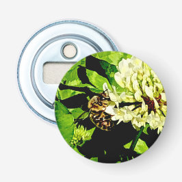 Abóbora do Botão do Bumble Bee