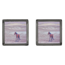 Cavalo do Deserto P8640