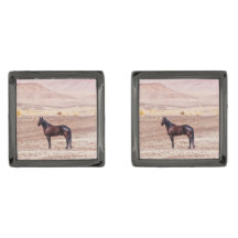 Cavalo do Deserto P8664