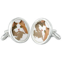 Um retrato artístico do gato calico de olhos verde