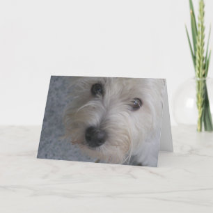 Abraçar-me - Cartão