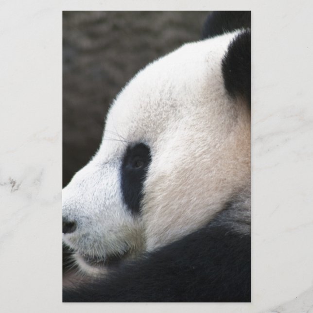 Abraços de Urso Panda (Frente)