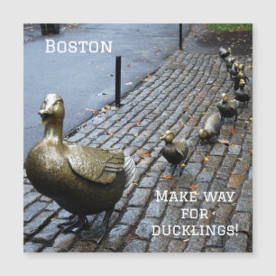 Abram Caminho Para Os Ducklings