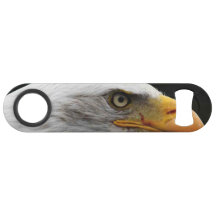 Bald Eagle bocna