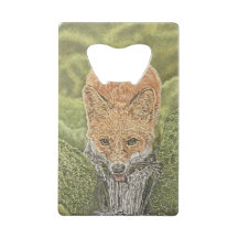 Ferramenta de Hidratação