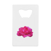 flor rosa-rosa-solteiro adorável