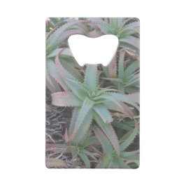 Abridor De Garrafa Cartão Em Forma De Crédito Nevada suculenta