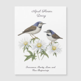 Abril Mês da Flor Daisy Cerejou Aniversário