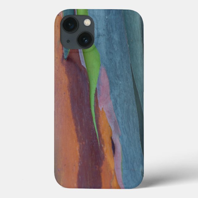 Abstract Of Rainbow Gum Tree (Verso)
