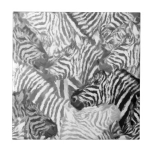 Abstrato, Arte Zebra Negra e Branca