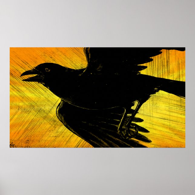 Abstrato Black Crow Grunge Poster (Frente)