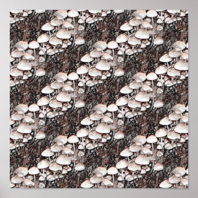 Abstrato Cogumelos Divertimento Natureza Poster (Frente)