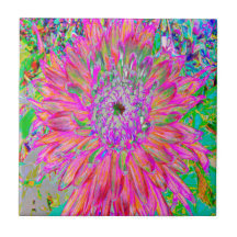 Abstrato do arco-íris colorida Dahlia Flower