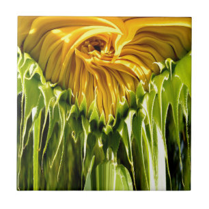 Abstrato funky retro Girassol, geometria assustada