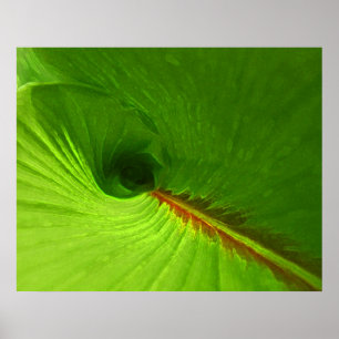 Abstrato Ginger Leaf Spiral Poster